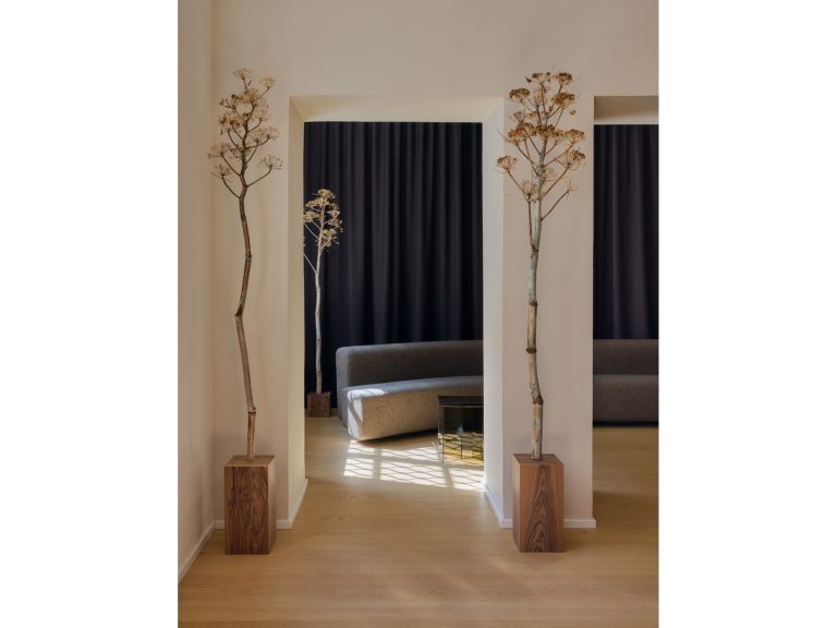 Newd MDM gallery4
